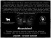 Człowiek - to brzmi dumnie?