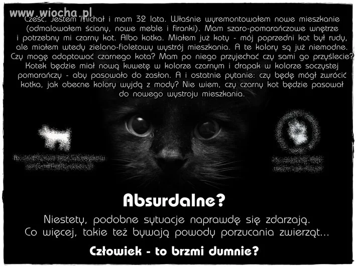Człowiek - to brzmi dumnie?