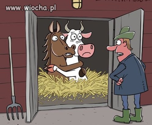 Związki  partnerskie