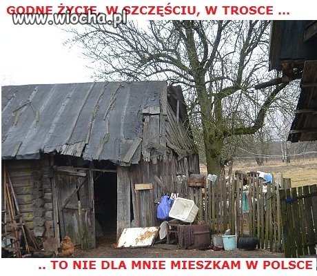 Prawd jest wiele