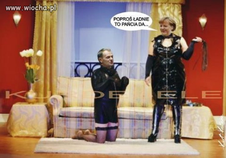 Szarik, poproś ładnie to pańcia da...