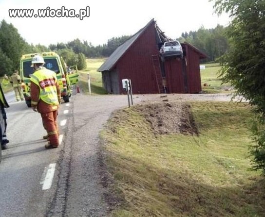 No co Pani skrócik lekki wybrała