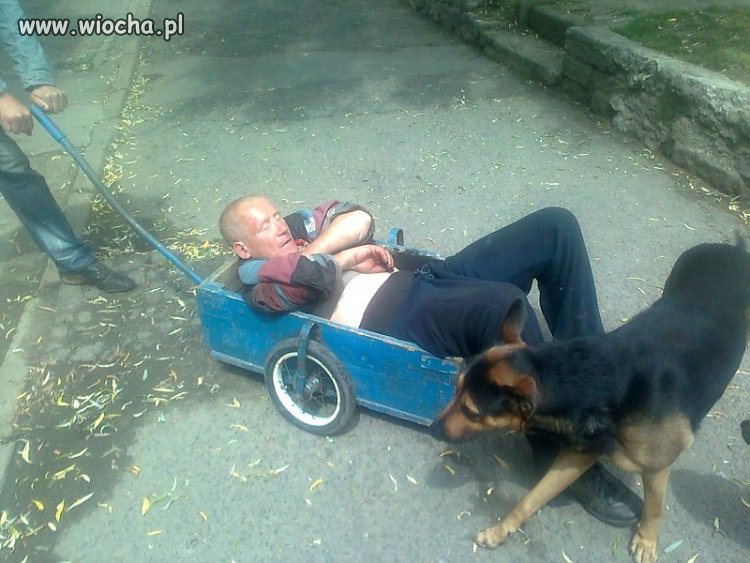 Rikszą po Polsku wiooo