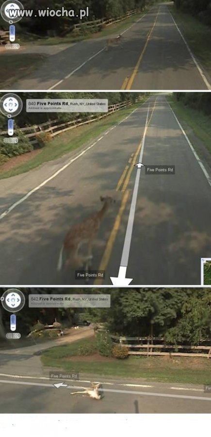 Google  maps 