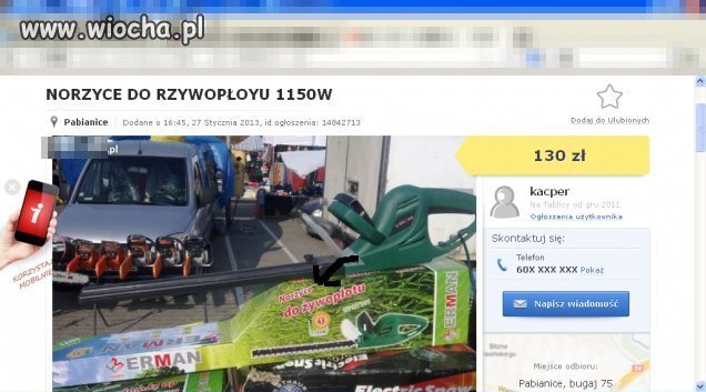 Norzyce do rzywopłoyu