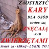 Jak oni tak mogą... ludzie bez serca