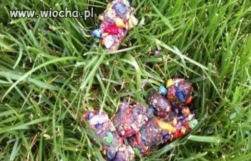 "Mój pies zjadł paczkę kredek świecowych...