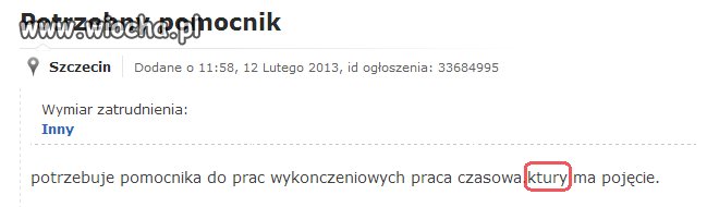 Oferta pracy