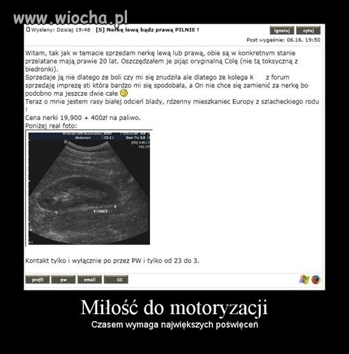 Głupota ludzka...