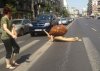 Uwaga na ślimaki!