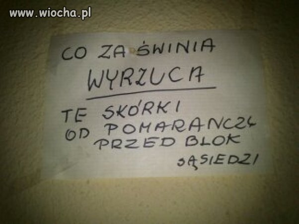 Świniaaa