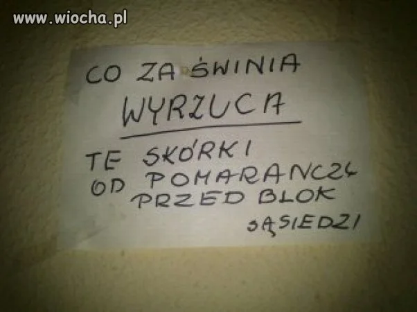 Świniaaa