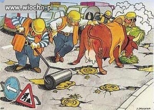 Czasami mam wrażenie,że tak to wygląda
