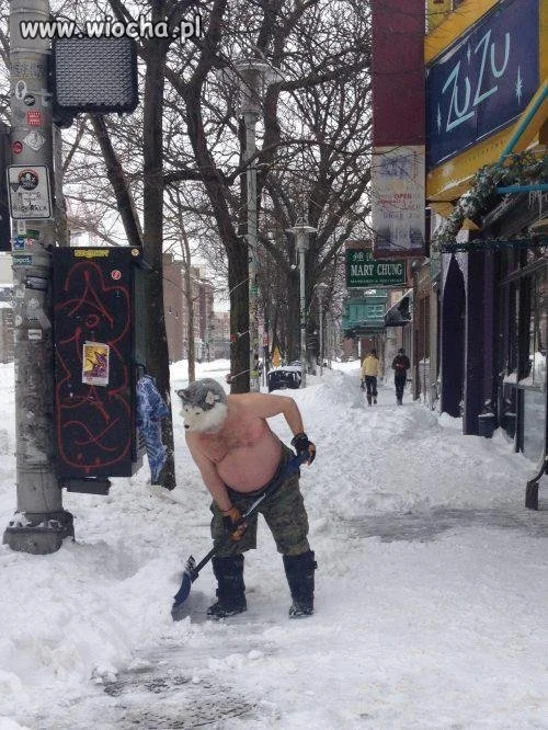 Tańczący z wilkami...