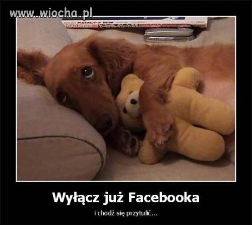 Przez  Facebook`a 