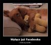 Przez  Facebook`a 