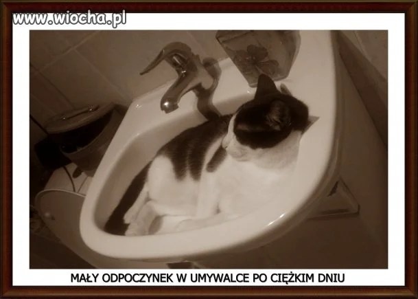 Całe życie z wariatami 