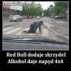 Każdy człowiek na poziomie