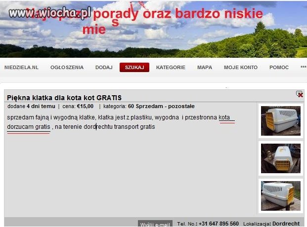 Klatka + kot gratis