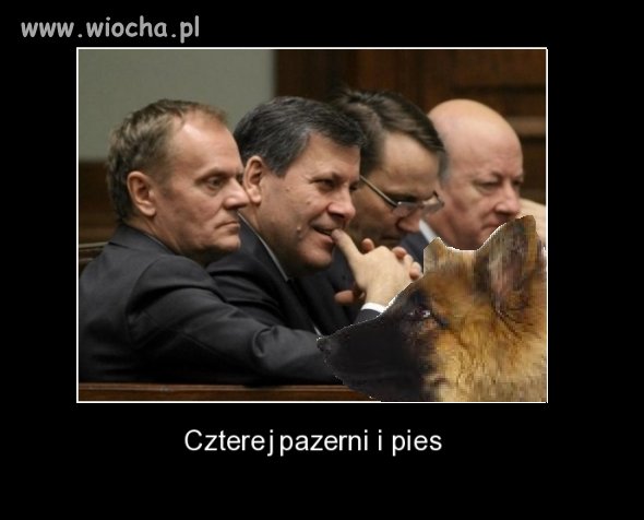 Czterej ,,pazerni'' i pies