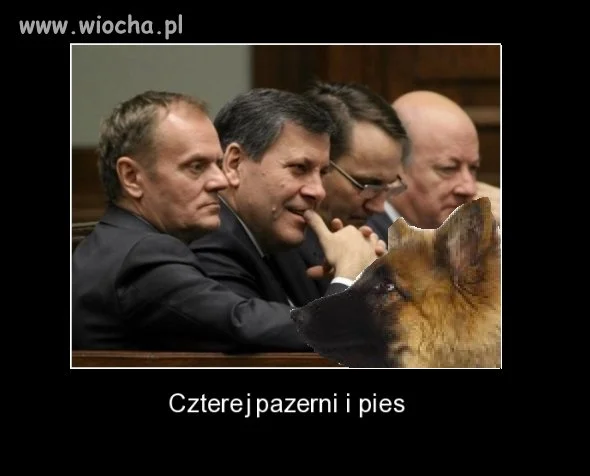 Czterej ,,pazerni'' i pies