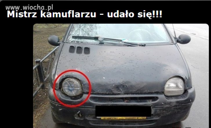 Mistrz kamuflarzu