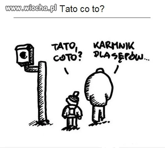 Ciekawe "domki" dla ptaków