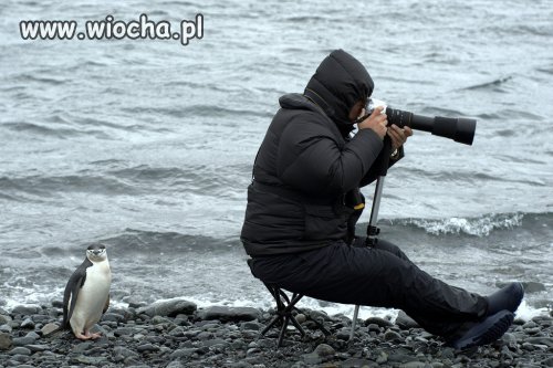 Kolego, ale ja jestem z tyłu