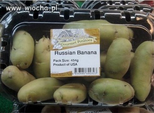 Banany przypominające ziemniaki?