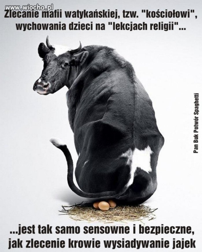 Dalibyście krowie jajka wysiadywać ?