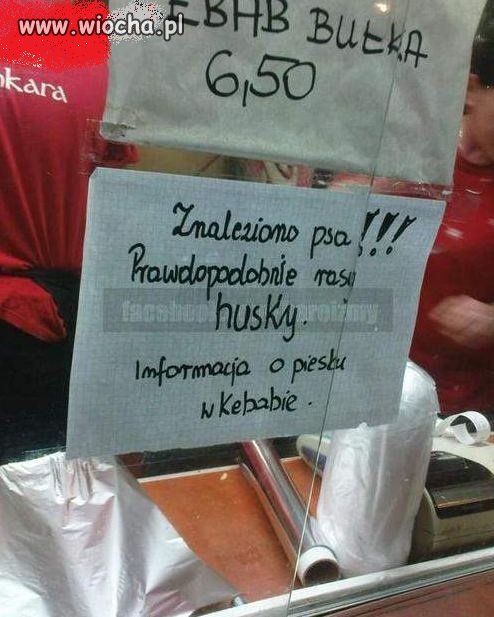Kebab z huskiego???...nie jadłem