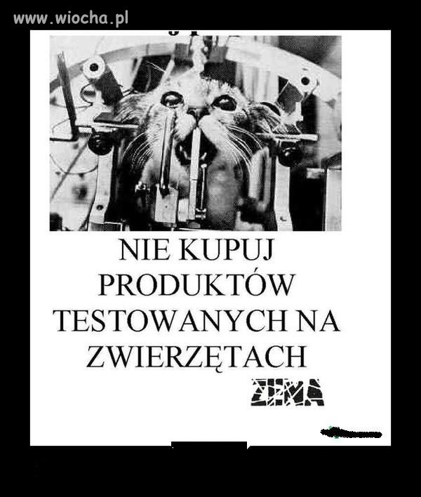One Cierpią