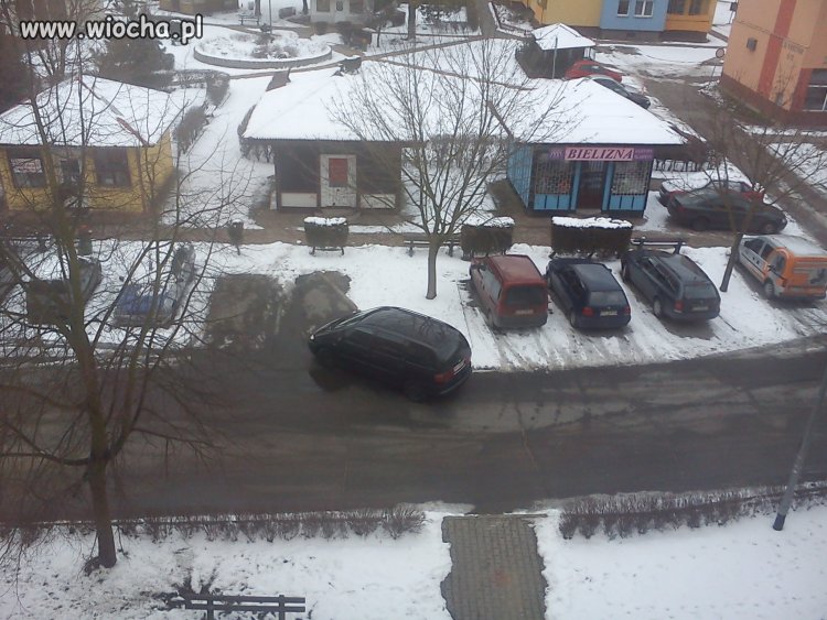 Mistrz Parkowania
