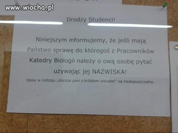 Przecież byłem na wszystkich wykładach