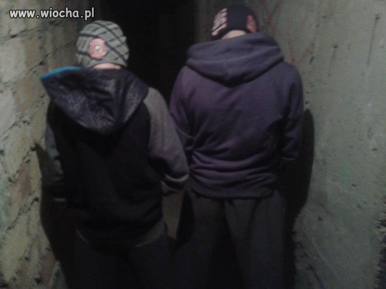 SZCZUrrY kryją się po piwnicach 