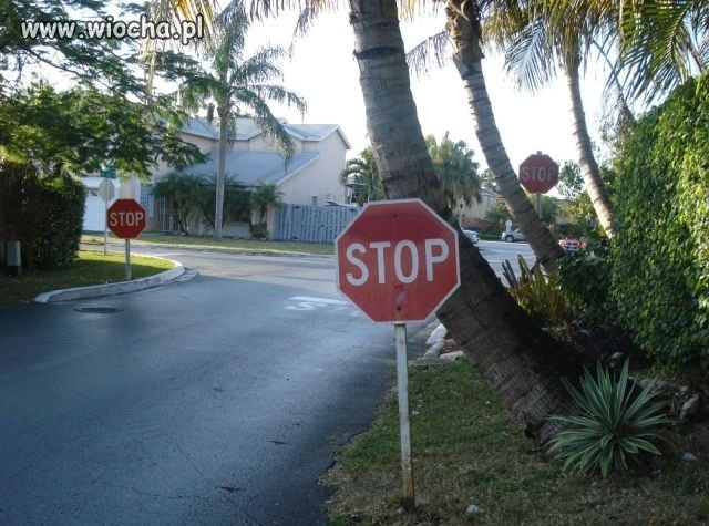 STOP!!!