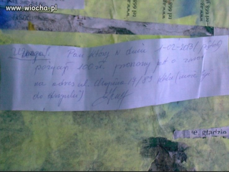 Podobno głupich nie sieją 