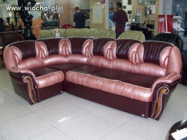 Sofa Vagina