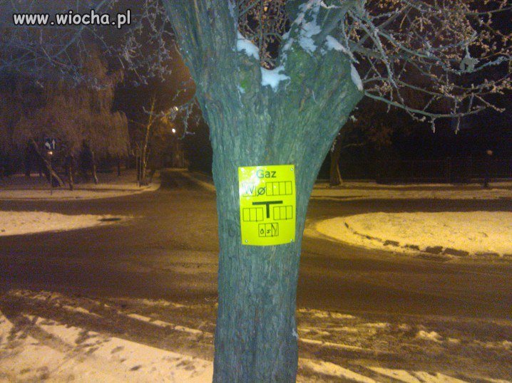 A policja wystawia 20 zł mandatu za niszczenie zie