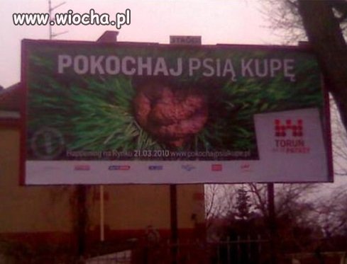 Kochajmy wszystko