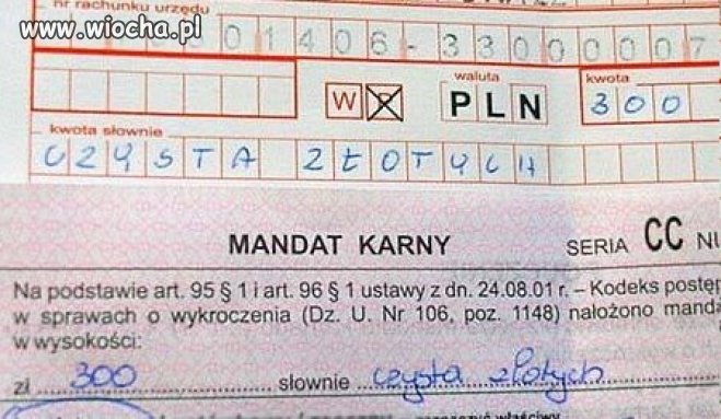 Czysta złotych...