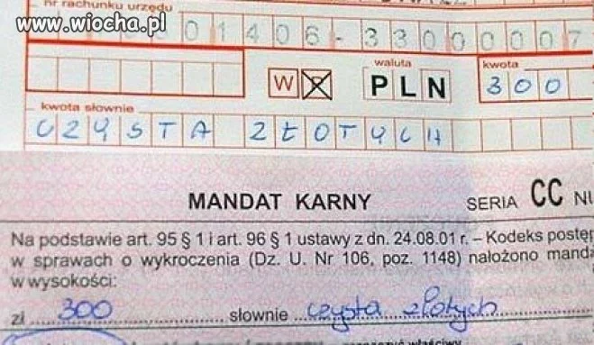 Czysta złotych...