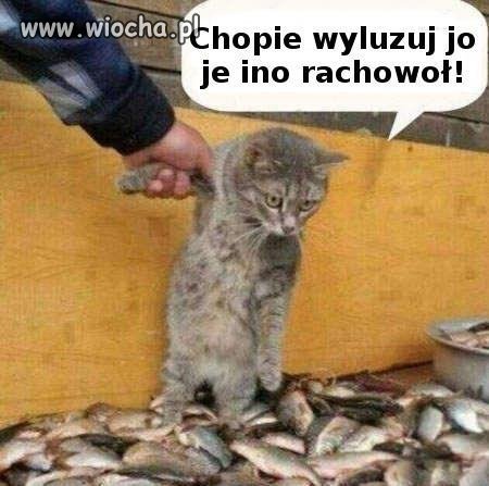 Chciał dobrze