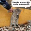 Chciał dobrze