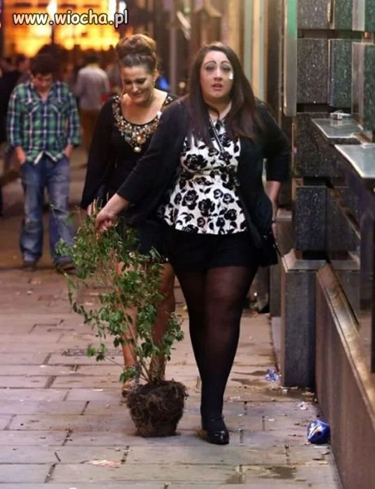 Dostała od wielbiciela...