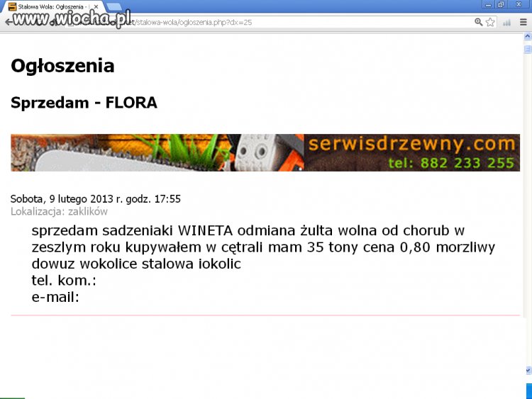 Mistrz ortografi 2013