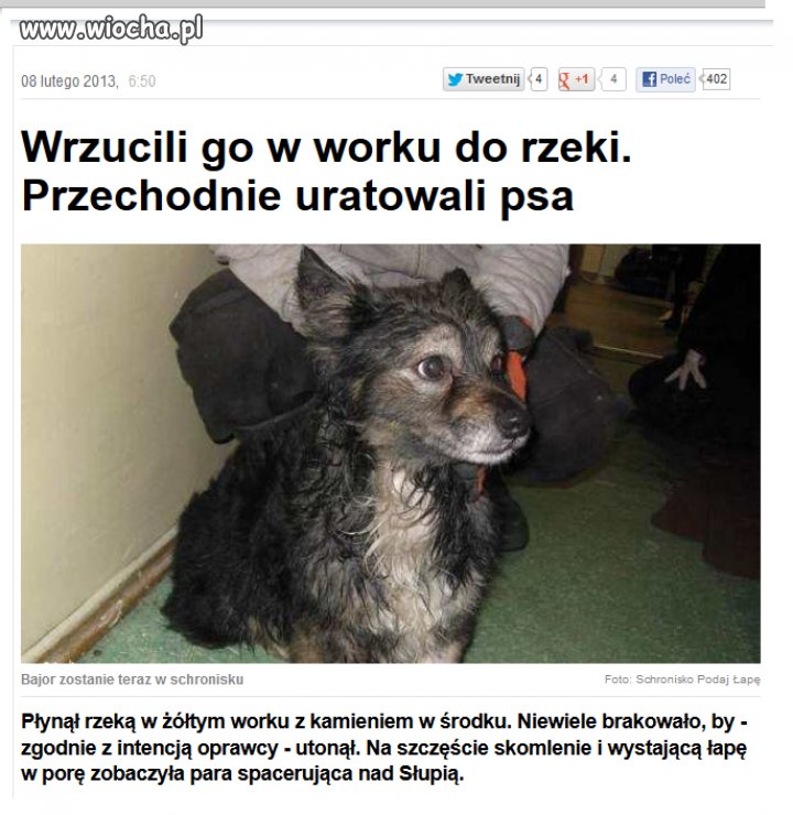 Chcieli utopić psa