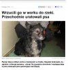 Chcieli utopić psa
