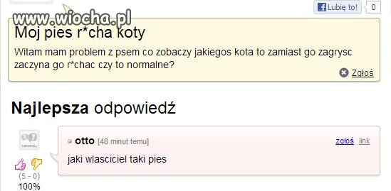 Jaki właściciel taki pies