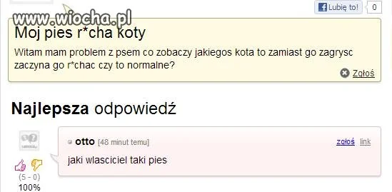 Jaki właściciel taki pies